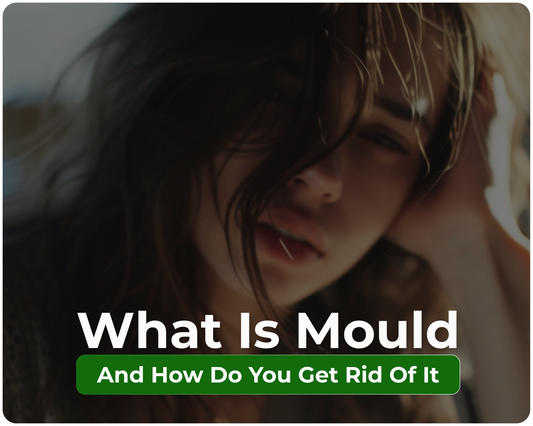 What is mould and how to get rid of it